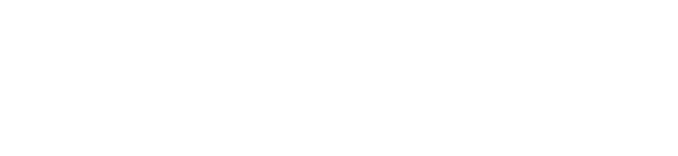 BLACKOUT HUNT